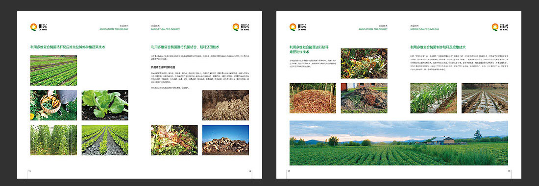 祺興生物公司高檔畫冊設(shè)計-6