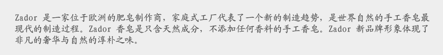 歐洲化工企業(yè)VI設(shè)計的匠心調(diào)性-2