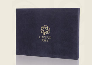 濟南艾麗爾內(nèi)衣品牌標志設(shè)計